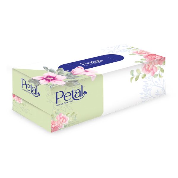 FACIAL BOX TISSUE-120